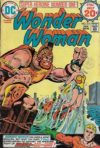 Wonder Woman #215